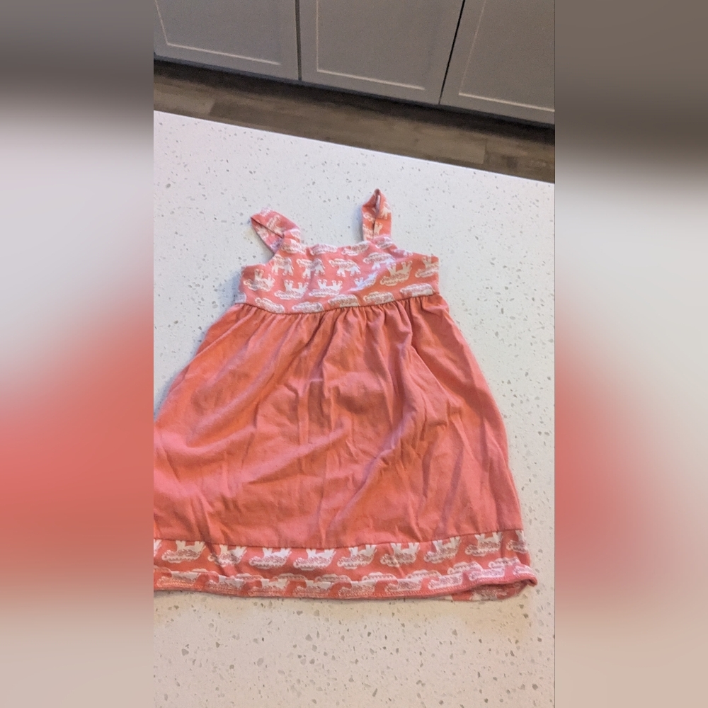 18 mo Harper canyon dress